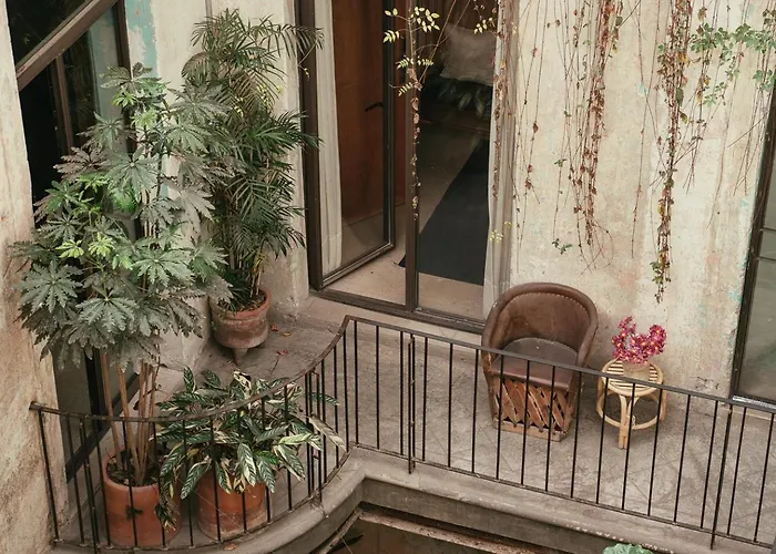 Guest Jardín Prim Hotel